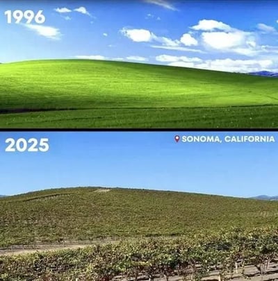 这是一张上下对比图，上半部分是1996年拍摄的经典Windows XP系统默认壁纸Bliss，画面展现了美国加利福尼亚州索诺马地区的大片翠绿起伏草坡，搭配澄澈蓝天和点缀的白云，是全球网民熟知的经典画面；下半部分是2025年在同一地点拍摄的实景，原本的天然草坡已经被改造为规整的葡萄种植园，地表植被和景观面貌发生了非常明显的变化。