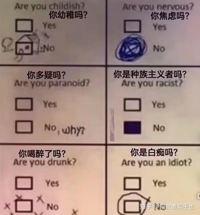 图片为2x3网格布局的问卷，包含六个问题：“你幼稚吗？”“你焦虑吗？”“你多疑吗？”“你是种族主义者吗？”“你喝醉了吗？”“你是白痴吗？”。每个问题均有英文原文和中文翻译，下方配有Yes/No复选框，部分No选项有幽默手绘标记：“你幼稚吗？”的No框内画有小房子并打勾；“你焦虑吗？”的No框内有蓝色乱涂；“你多疑吗？”的No旁写有“No, why?”；“你是种族主义者吗？”的No框被涂黑；“你喝醉了吗？”的No框被多个X标记；“你是白痴吗？”的No框被圈出并打X。整体通过夸张的否定选项标记制造幽默效果。