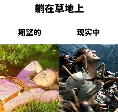 图片为左右对比结构，上方标题为“躺在草地上”。左侧“期望的”部分显示一位红发人士穿着粉色衣服，安详地躺在阳光明媚的绿色草地上，表情放松，周围有黄色小花点缀，营造出宁静惬意的氛围。右侧“现实中”部分则是一名男性被多只类似昆虫腿的怪物缠绕，表情痛苦狰狞，背景阴暗，与左侧形成强烈反差，通过夸张对比幽默展现理想与现实的差距。