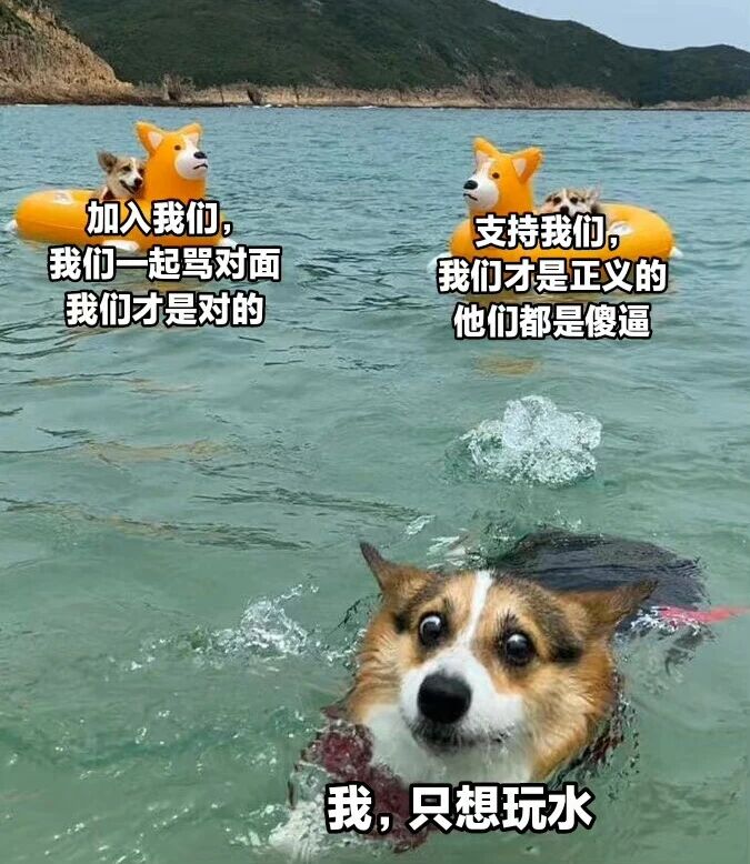 柯基犬