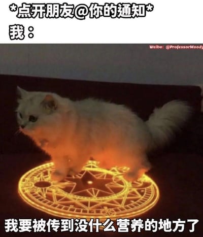 这是一张调侃社交场景的搞笑梗图，上方文字标注“*点开朋友@你的通知* 我：”，下方是一只白色长毛猫咪站在发光的魔法召唤阵上，配文“我要被传到没什么营养的地方了”。用夸张的魔法传送场景，幽默地表达了很多人在社交软件中被朋友@时，往往会被分享无营养的闲聊、八卦内容的无奈又好笑的心情，精准戳中日常社交的小痛点。