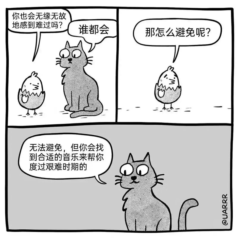 小鸡