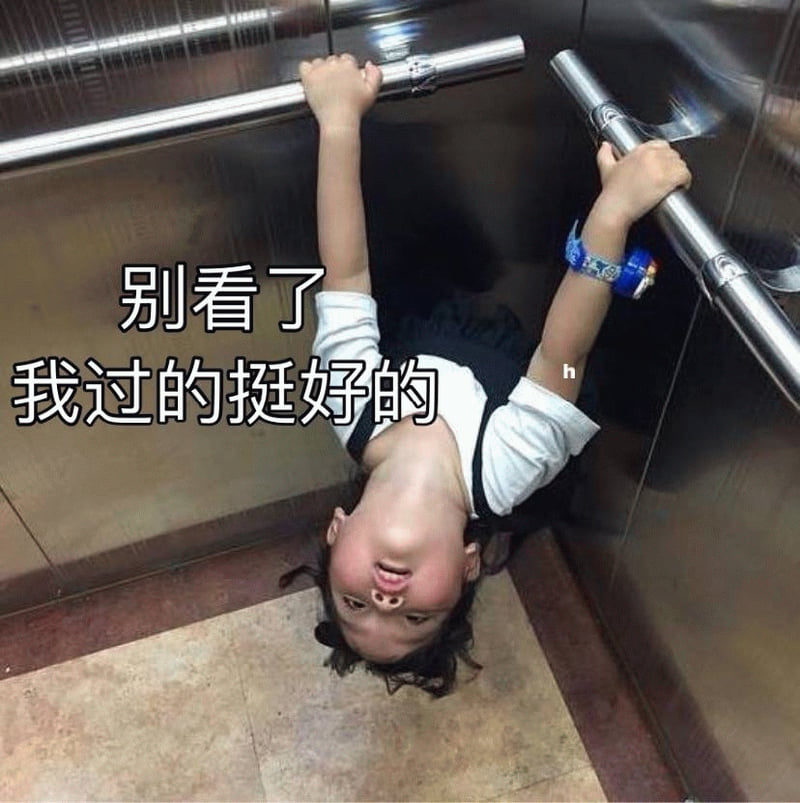 权律二倒挂电梯：别看了我过的挺好的