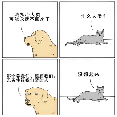 四格漫画描绘了一只黄色的狗和一只灰色的猫之间的对话。第一格中，狗担忧地望向远方说："我担心人类可能永远不回来了"。第二格中，猫疑惑地问："什么人类？"。第三格中，狗解释道："那个养我们、照顾我们、无条件给我们爱的人"。第四格中，猫依然一脸茫然地说："没想起来"。通过猫狗对主人的不同态度形成幽默对比，展现了猫咪通常较为独立、狗狗更为依赖主人的刻板印象。