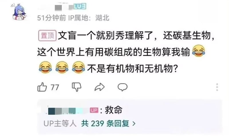 哔哩哔哩（B站）
