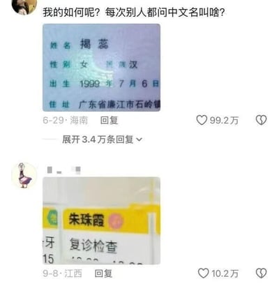 社交媒体截图展示了两条高赞回复，内容为网友分享的带有搞笑中文名的假证件。第一条回复中的假身份证显示姓名“揭蕊”，性别错误标注为“女 流浪汉”，出生日期1999年7月6日，住址广东省廉江市石岭镇，获99.2万点赞；第二条回复的医疗记录显示姓名“朱珠霞”，获10.2万点赞。顶部文字“我的如何呢？每次别人都问中文名叫啥？”引发关于奇葩中文名的调侃，整体内容以幽默方式展示虚构的搞笑姓名案例。