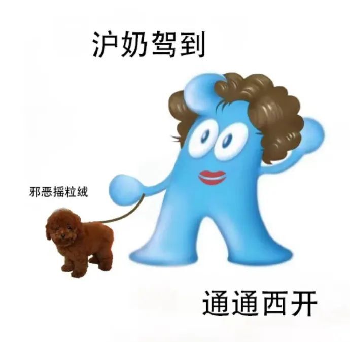 沪爷