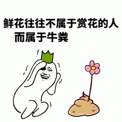 图片为白色背景的图文混排梗图，上方有黑色文字标语“鲜花往往不属于赏花的人 而属于牛粪”。下方左侧是一个白色卡通小人形象，头戴绿色皇冠，双手捂脸，表情呈现出无奈又略带痛苦的神态，身体微微蜷缩。右侧则是一朵粉色花瓣、黄色花蕊的小花，生长在一堆棕色的牛粪之上。整体通过幽默夸张的对比，以“鲜花依赖牛粪滋养”的自然现象讽刺现实中“欣赏者未必拥有，基础贡献者反而成就结果”的无奈情境，语言风格直白扎心，带有较强的调侃意味。