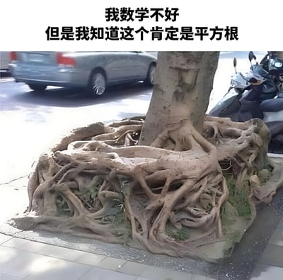 图片展示了一棵大树的根部，其裸露在地面的根系盘根错节，形状酷似数学中的平方根符号（√）。图片上方配有文字“我数学不好 但是我知道这个肯定是平方根”，通过将树根的自然形态与数学符号进行视觉联想，制造出幽默的谐音梗效果。背景中可见街道、停放的汽车和摩托车，显示这是一个真实的户外场景。