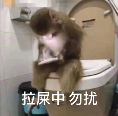 一只猴子坐在卫生间的马桶圈上，双手捧着手机低头专注查看，背景是白色瓷砖墙面和马桶。图片底部有白色文字“拉屎中 勿扰”，整体场景通过拟人化手法展现猴子模仿人类如厕时使用手机且不愿被打扰的行为，充满幽默感。