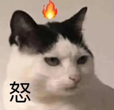 暂无描述