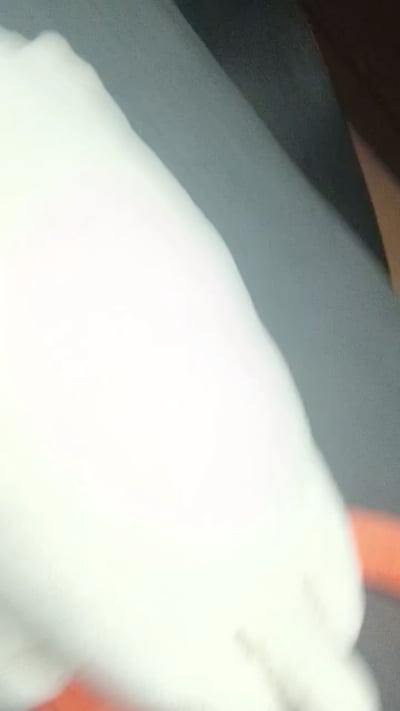 这是一张拍摄模糊的竖版照片，画面主体是一只白色的动物，从露出的部分特征推测大概率是兔子，它待在橙色的容器（可能是笼子或窝具）里，背景是灰色的平面。由于拍摄时的晃动或对焦失误，画面整体非常模糊，仅能辨认出大致的白色毛发轮廓和下方的橙色载体，动物的具体神态、细节都无法看清。