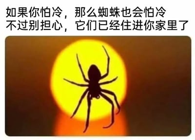 这是一张结合文字与视觉的趣味梗图，上方配有两行调侃式文案：“如果你怕冷，那么蜘蛛也会怕冷 不过别担心，它们已经住进你家里了”，采用拟人的手法将蜘蛛怕冷的行为拟人化。下方的视觉部分是一只蜘蛛的黑色剪影，它呈悬停姿态，肢体完全展开，背景是一个暖黄色的圆形光源，看起来像是室内的灯光，营造出蜘蛛正朝着温暖区域移动的画面感。整幅图用幽默的方式调侃秋冬降温时，蜘蛛会进入室内取暖的生活现象，既贴合生活观察，又通过反差感制造出好笑又略带惊悚的效果，戳中人们对室内出现蜘蛛的微妙情绪。
