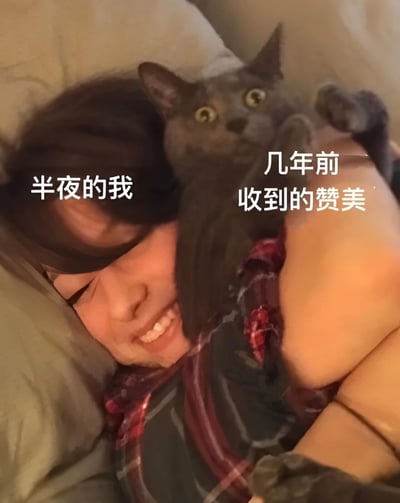 图片展示了一个温馨有趣的场景:一个人闭着眼睛躺在床上,面带微笑,怀里抱着一只灰色猫咪。猫咪则睁着大大的圆眼睛,表情惊讶,前爪微微抬起。图片上有两行文字,左边写着'半夜的我',右边写着'几年前收到的赞美',通过人与猫表情的有趣对比,幽默地表现了收到赞美时内心的喜悦与表面的惊讶反应。