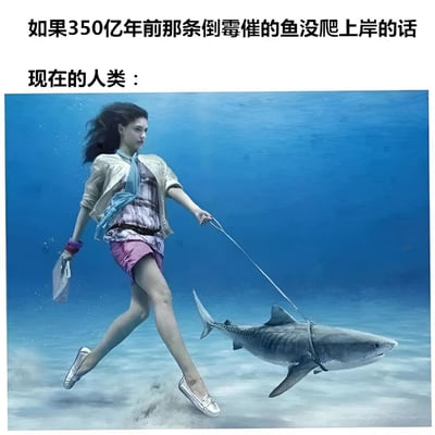 这张梗图展示了一个假设的进化场景：如果350亿年前鱼类没有上岸，现在的人类会在水下生活，像遛狗一样遛鲨鱼。图中女子穿着日常服装在水下行走，牵着一条鲨鱼，上方文字点明了这个幽默的假设。
