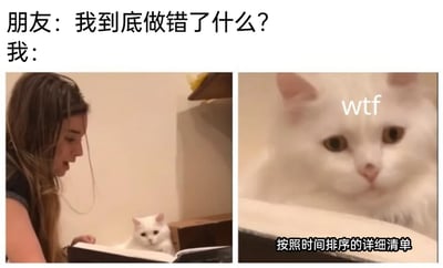 这是一张左右拼接的搞笑吐槽梗图，上方配有对话文字：“朋友：我到底做错了什么？我：”。左图展示了一位女生正看着摊开的本子，本子里的白猫表情无奈，仿佛在准备记录内容；右图是这只白猫的脸部特写，脸上标注着英文“wtf”，下方配文“按照时间排序的详细清单”。整个场景用夸张的方式呈现，当朋友疑惑自己是否犯错时，“我”早已准备好按时间排列的详细错误清单，白猫从无奈到震惊的表情，生动地放大了朋友错误之多、早就被“记仇”的搞笑效果，精准贴合朋友间互相吐槽的日常相处氛围，充满趣味性。