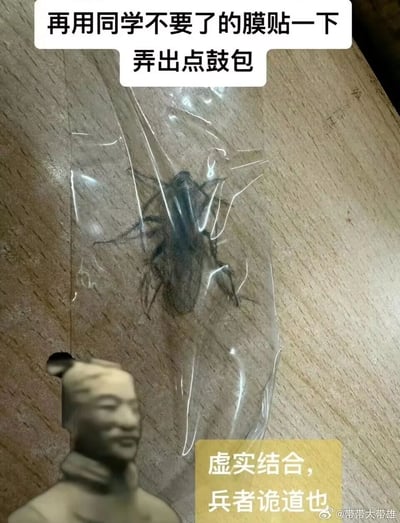 这是一张分享整蛊创意的趣味图文内容：在木质桌面上，先手绘出一只形态逼真的蟑螂，随后用废弃的贴膜覆盖在手绘蟑螂之上，并且刻意弄出鼓包，利用贴膜的立体感让平面的手绘蟑螂看起来像是真实被封住的活蟑螂，制造出以假乱真的视觉错觉。画面左下角搭配了一个兵马俑形象的表情包，配文“虚实结合，兵者诡道也”，用兵法话术调侃这个以假乱真的整蛊手法，增添趣味；顶部的文字则标注了这个整蛊操作的步骤“再用同学不要了的膜贴一下 弄出点鼓包”，右下角的微博水印“@带带大带雄”显示了内容的发布者，整体内容低成本易操作，充满生活搞笑创意。