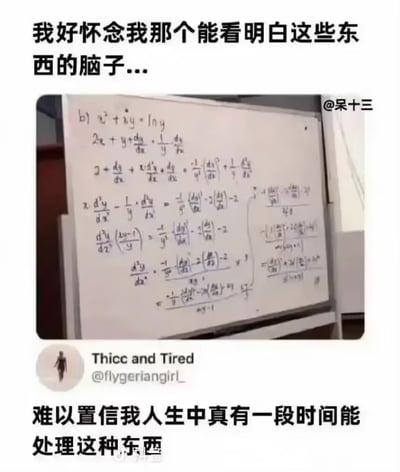 这是一张引发大众共鸣的梗图，整体采用上下配文夹中间实拍图的形式，顶部的中文配文为“我好怀念我那个能看明白这些东西的脑子...”，中间部分是一块白板的实拍照片，上面写满了复杂的高等数学隐函数求导相关的运算公式，白板照片右上角带有@呆十三的水印，照片下方是X平台用户Thicc and Tired（账号@flygeriangirl_）的发言截图，内容为“难以置信我人生中真有一段时间能处理这种东西”，整体表达了很多人离开学生阶段后，已经看不懂曾经学习过的复杂数理知识，对过往自己学习能力的怀念情绪，很容易引发有类似经历的网友的共鸣。