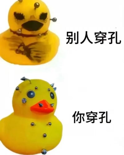 图片为上下对比结构，展示了两只佩戴穿孔饰品的小黄鸭。上图小黄鸭表情凶狠，佩戴少量穿孔饰品，配文“别人穿孔”；下图小黄鸭表情滑稽，全身布满过量穿孔饰品，配文“你穿孔”。通过夸张对比幽默地表现了理想与现实的差距，带有自嘲和搞笑意味。