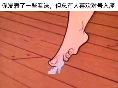 这是一张搞笑调侃类梗图，画面上方配有文字“你发表了一些看法，但总有人喜欢对号入座”，下方是改编自《灰姑娘》动画的卡通画面：一只尺寸明显过大的动画人物脚部，正强行将大脚趾塞进迷你版的水晶鞋中，用这种夸张的视觉反差效果，生动又讽刺地表现出那些明明和自身无关，却非要强行把他人观点往自己身上套、硬要对号入座的人的行为，充满荒诞幽默感，精准戳中日常社交里的这类尴尬场景。