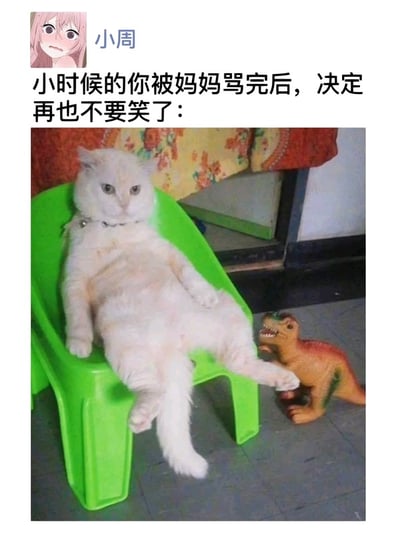 这张梗图展示了一只白猫瘫坐在绿色塑料椅子上，神情呆滞且略显郁闷，旁边还有一个小恐龙玩具。配文形容了小时候被妈妈骂完之后，自己决定再也不笑的场景。猫猫的呆滞表情和姿势充满了幽默和共鸣感，完美演绎了‘被骂后丧丧’的情绪。画面没有谐音梗等双关，但利用动物替代人类、日常生活幽默夸张地表达内心戏，是常见的网络表情包手法。