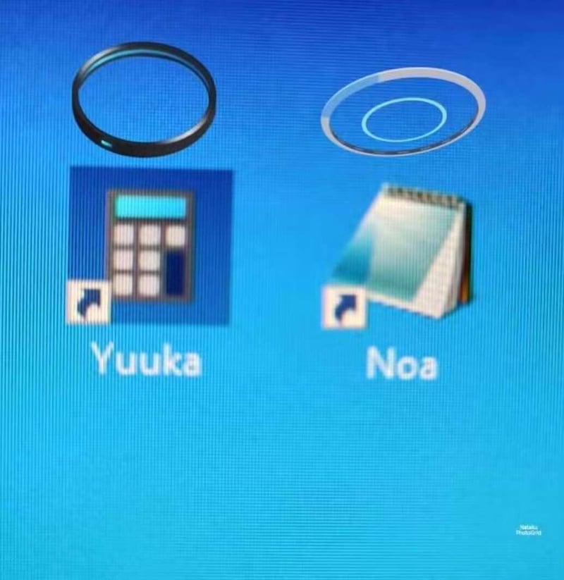 诺亚（Noa）