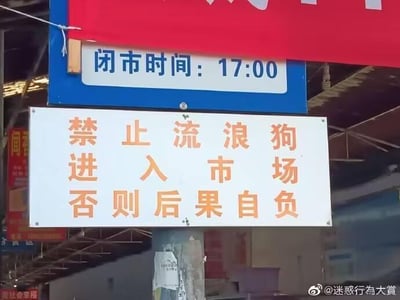 这是一张在市场内拍摄的实景照片，画面中展示了两块悬挂的标识牌：上方是蓝底白字的闭市时间提示牌，内容为“闭市时间:17:00”；下方是白底橙字的管理规定标识牌，写着“禁止流浪狗进入市场 否则后果自负”，背景能看到市场的棚顶结构，是市场用于规范管理的常规标语，不存在双关、谐音梗等内容。
