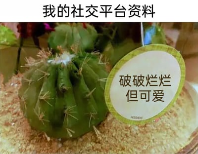 暂无描述