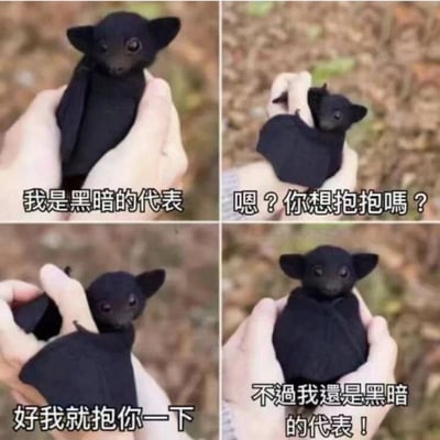 一张四格漫画形式的梗图，展示了一只黑色小蝙蝠被人类捧在手心的可爱场景。第一格中小蝙蝠表情严肃地说"我是黑暗的代表"，第二格歪头疑惑地问"嗯？你想抱抱嗎？"，第三格顺从地表示"好我就抱你一下"，第四格又恢复严肃强调"不過我還是黑暗的代表！"。通过可爱的小动物与"黑暗代表"的反差设定制造幽默效果，展现了类似傲娇的萌点。