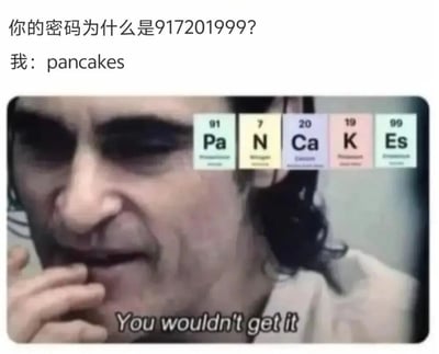 图片上方文字为“你的密码为什么是917201999?”和“我：pancakes”，下方是一位表情若有所思的真人，其面部右侧叠加了五个元素周期表方块，分别是91号元素镤(Pa)、7号元素氮(N)、20号元素钙(Ca)、19号元素钾(K)、99号元素锿(Es)，元素符号连起来正好是“PaN Ca K Es”，即英文单词“pancakes”（煎饼）。图片底部有文字“You wouldn't get it”（你不会懂的）。这是一个利用元素周期表符号谐音梗制作的搞笑梗图，通过元素符号拼写隐藏密码含义。