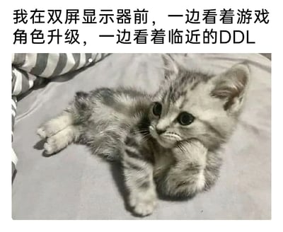 这是一张图文混排的静态单图，上方配有文字“我在双屏显示器前，一边看着游戏角色升级，一边看着临近的DDL”，下方是一只灰色虎斑小猫，它侧躺在带有条纹枕头的柔软床品上，一只爪子自然地托着腮部，眼神看起来迷茫又带着纠结。这张图用可爱的猫咪形象精准契合了文字描述的状态：当代年轻人在面对即将截止的任务（DDL）时，却忍不住沉迷游戏，在娱乐的诱惑和任务的压力之间陷入两难拉扯，生动调侃了拖延症人群在工作或学习时的矛盾心态，容易引发广大网友的共鸣。