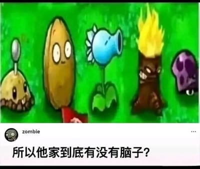图片展示了《植物大战僵尸》游戏中的五个经典植物角色，从左到右分别是土豆雷、坚果墙、寒冰射手、火炬树桩和小喷菇，它们都以卡通形象呈现，背景为绿色草地。图片下方有一个用户名为“zombie”的评论框，内容为“所以他家到底有没有脑子？”。该梗图通过僵尸视角的疑问制造幽默效果，结合游戏中僵尸以“脑子”为目标的设定，对植物角色群体进行调侃。