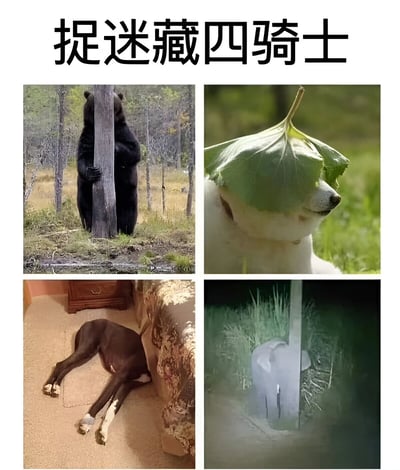 这是一张四格拼接的搞笑图片，标题为“捉迷藏四骑士”，展示了四种动物“掩耳盗铃”式的躲藏方式。左上格：一只黑熊紧紧抱住树干，身体完全暴露却专注藏在树后；右上格：一只狗用一片大叶子盖住自己的眼睛，仿佛这样别人就看不见它；左下格：一只棕色的狗钻进沙发和柜子之间的缝隙，身体大部分藏住但四条腿直直伸出；右下格：一头大象躲在一根纤细的树干后，庞大的身躯完全暴露在外，仅头部被树干遮挡。图片通过动物们天真又笨拙的躲藏行为制造幽默效果，笑点在于它们误以为自己藏得很好，实则一目了然。