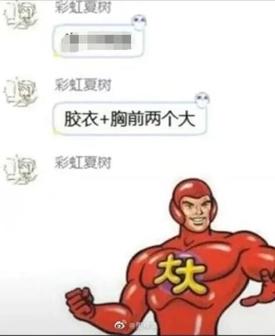 这是一张图文混排的搞笑梗图，上方是社交媒体的聊天记录截图，用户“彩虹夏树”发送了消息“胶衣+胸前两个大”，下方是经过P图改编的卡通角色图像。创作者将聊天内容里的“胸前两个大”进行了具象化处理，把原本可能用于描述身材的内容，直接转化为卡通角色胸前的两个黄色“大”字，通过这种文字与图像的结合制造出反差感，形成滑稽的搞笑效果，属于典型的文字梗创作。