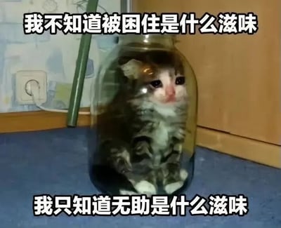 图片中一只灰白相间的小奶猫被卡在透明玻璃罐里，身体蜷缩，睁着圆溜溜的大眼睛望向镜头，表情无辜又带着一丝茫然。背景可见墙角的电源插座、绿色植物茎秆和木质家具。图片上方配有文字“我不知道被困住是什么滋味”，下方对应文字“我只知道无助是什么滋味”，通过猫咪明明被困却否认“被困”只承认“无助”的反差，形成幽默又略带可爱的效果。