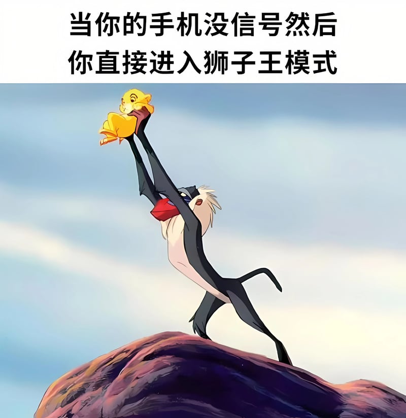 辛巴