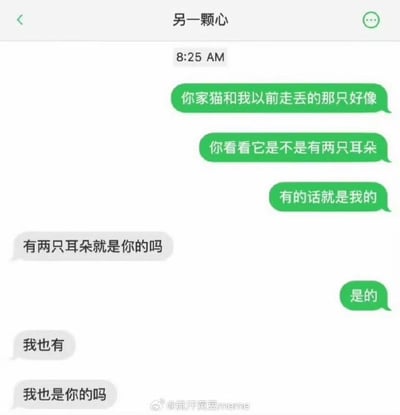 这是一段充满无厘头和暧昧感的微信聊天记录：绿色对话框的用户先以强词夺理的逻辑开玩笑，称对方的猫和自己走丢的猫很像，还说“有两只耳朵就是我的猫”；对方反问“有两只耳朵就是你的吗”，该用户肯定回答“是的”后，对方顺势接话“我也有两只耳朵，我也是你的吗”，将原本的碰瓷玩笑扭转为暧昧撩拨，对话逻辑清奇又充满反差感，十分搞笑。
