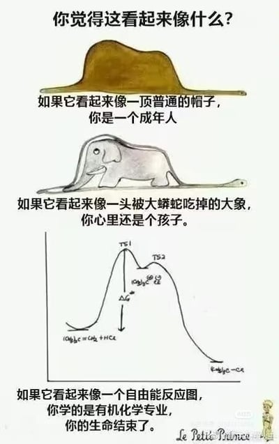 这是一张由三部分上下拼接而成的趣味梗图，核心是同一个轮廓图形的三种不同解读，对应三类人群的视角：
1. 最上方将图形解读为普通帽子，标注“你是一个成年人”，代表成年人的常规、务实的思维视角；
2. 中间将图形解读为一头被大蟒蛇咬住尾部的大象，标注“你心里还是个孩子”，代表孩童充满想象力的趣味视角；
3. 最下方将图形看作有机化学的自由能反应图，用“你学的是有机化学专业，你的生命结束了”的夸张表述，自嘲有机化学专业学生被繁重专业内容“支配”的状态。
整张图通过同一视觉元素的差异化解读制造幽默反差，精准戳中不同人群的思维特点，尤其是对有机化学专业的调侃，极易引发相关专业群体的共鸣，没有双关或谐音梗，属于直白的自嘲与视角反差玩梗。