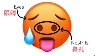 这是一张静态图文混排的卡通图像，主体为一个橙色圆形emoji。emoji双眼紧闭，嘴角下方有一滴蓝色泪珠，粉色舌头向外伸出，鼻子部位被黑色圆圈重点标出。图像中用黑色箭头分别标注了两处：左侧箭头指向眼睛，标注文字为“Eyes”（英文）和“眼睛”（中文）；右侧箭头指向被圈出的鼻子，标注文字为“Nostrils”（英文）和“鼻孔”（中文）。整体风格戏谑搞笑，通过夸张标注突出emoji的五官特征。