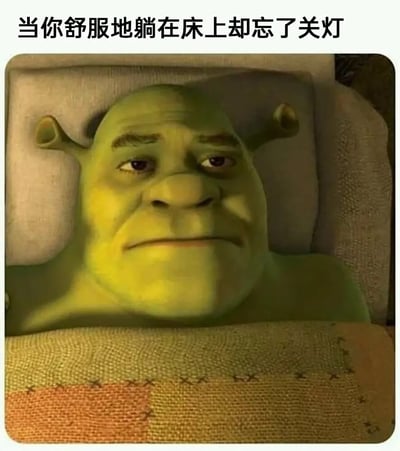 这张梗图用舒克（怪物史莱克）在床上躺着的场景，表现出人们在床上发现自己忘关灯时的无奈心理。画面中的史莱克正舒适地躺在被窝里，但配文却指出已经准备休息却还要再起身关灯，非常贴近现代人的生活日常，也带有搞笑、无奈的氛围。画面表达出一种“懒得动又不得不动”的矛盾感。

该梗图无明显双关、谐音梗或暗示。