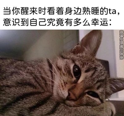 这是一张文字加注的猫咪表情包，属于照片改图的顶配底文图。图片上方配有文案“当你醒来时看着身边熟睡的ta，意识到自己究竟有多么幸运：”，下方是一只狸花猫的实拍照片，猫咪半睁着眼睛，头枕在自己的爪子上，神态慵懒困倦，带着依赖感，仿佛正处于醒来后看到身边之人的温馨瞬间，用猫咪的可爱神态具象化了拥有亲密之人的幸福感，能够引发人们对亲密关系中温暖日常的共鸣，适合用来表达对伴侣、家人的珍视与幸运感。