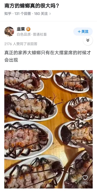 这是知乎用户针对“南方的蟑螂真的很大吗？”问题的玩梗回答，答主戏称真正的家养大蟑螂只在大摆宴席时出现，配图是宴席上摆放的清蒸小青龙（龙虾），利用龙虾的大体型和类似蟑螂的外形，夸张调侃南方蟑螂的“巨大”，制造反差搞笑效果，该回答获得2176人赞同，是对南方蟑螂体型梗的趣味演绎。