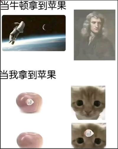 这是一张上下结构的对比搞笑梗图，上半部分配文“当牛顿拿到苹果”，左侧搭配太空中的宇航员意象对应万有引力定律带来的航天探索等科学成果，右侧搭配牛顿的经典肖像，对应大众熟知的牛顿被苹果砸中从而发现万有引力的典故；下半部分配文“当我拿到苹果”，左侧展示完整的苹果和被咬到只剩核的苹果，右侧先展示一脸懵懂的橘猫（可颂猫）表情包，再展示苹果核砸在猫脑门上的画面，用夸张自嘲的方式表现普通人和伟人拿到苹果后的差异：牛顿借苹果做出影响世界的科学发现，普通人拿到苹果只会直接吃掉，笑点十足。