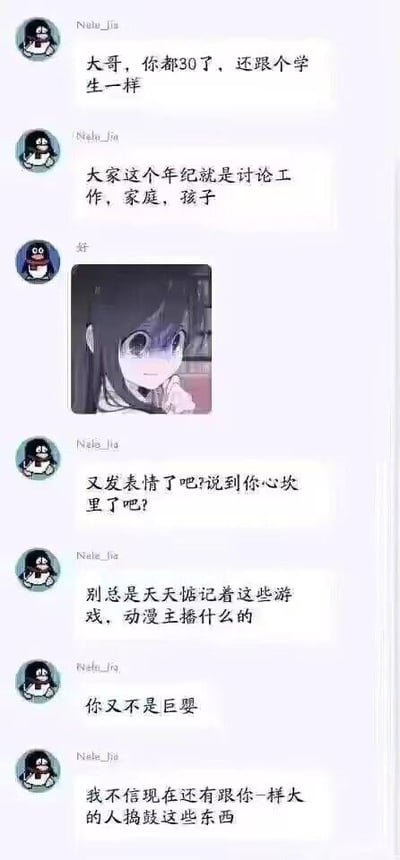 一张聊天记录截图，显示用户“Nale_Jia”多次向对方发送消息，内容包括“大哥，你都30了，还跟个学生一样”“大家这个年纪就是讨论工作，家庭，孩子”“别总是天天惦记着这些游戏，动漫主播什么的”“你又不是巨婴”“我不信现在还有跟你一样大的人捣鼓这些东西”。中间穿插一张动漫女孩的表情包，女孩有着黑色长发、大眼睛，表情略带羞涩或无奈，似乎是对对方发送表情的回应。