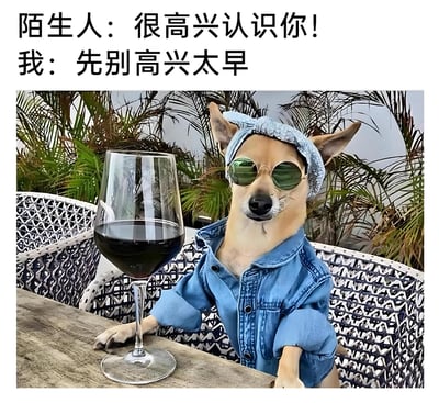 这是一张充满趣味的拟人化动物表情包，画面中一只狗狗被进行了P图改编，穿上了牛仔外套，搭配头巾和墨镜，坐在户外的藤编座椅上，前爪搭在木质餐桌边，旁边摆放着一杯红酒，整体造型成熟高冷，仿佛一位正在小酌的成年人。图上方搭配了对话文本：陌生人说道“很高兴认识你！”，“我”则回应“先别高兴太早”，通过这种高冷的拟人形象，幽默地表达出一种对社交的疏离感，或是自我调侃式的“生人勿近”心态，适合在社交场景中用来表达自己的高冷、自嘲情绪，传递出不想让对方对自己抱有过高期待的趣味态度。
