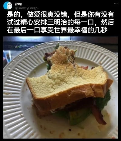 这是一张经过搬运翻译的社交媒体内容图，上方是Twitter用户@greg（账号@GrowlyGrego）的趣味发言，用夸张的对比方式，将性爱带来的快感和精心享用三明治最后一口的幸福感相提并论，以此表达对吃三明治最后一口时那种极致满足感的推崇；下方是一张实拍图，展示了一个被吃掉大部分、仅剩余最后一部分的三明治，放置在带有纹路的白色纸盘上，三明治的馅料能看到生菜、培根等食材，图片左侧带有微博账号@迷因烤鸭Memeduck的水印。