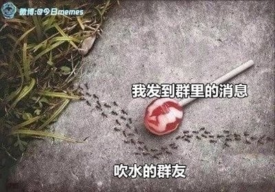 这是一张改编自真实户外场景照片的搞笑吐槽图，创作者将掉在水泥地面上的红白棒棒糖标注为“我发到群里的消息”，把围绕在棒棒糖四周的蚂蚁标注为“吹水的群友”，用生动的现实场景类比群聊中的常见扎心现象：自己在群里发出的消息如同被丢弃在地上的棒棒糖，无人真正关注，而群友们就像围绕着棒棒糖的蚂蚁，只顾着自己闲聊吹水，完全忽略了这条消息，精准戳中很多人在群聊中发言被忽视的经历，画面真实又充满讽刺感。