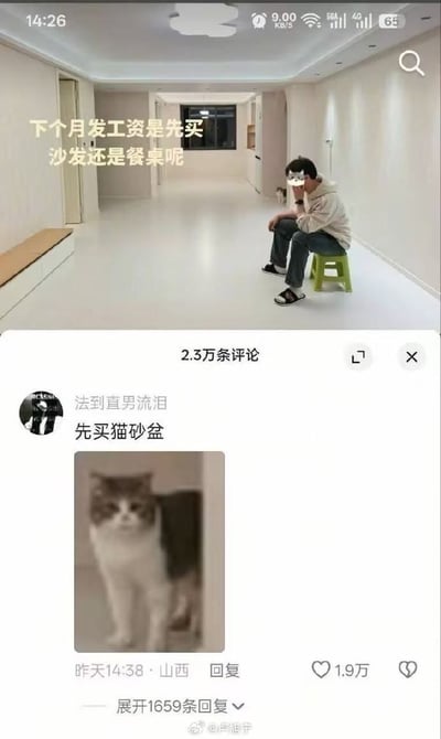 这是一张拼接的社交媒体截图，上半部分呈现了一间还没摆放家具的空旷新房，一名男子坐在绿色小塑料凳上，配文询问下个月发工资先买沙发还是餐桌，房间远处还能看到一只小猫的身影；下半部分是该内容的评论区，一条用户名为“法到直男流泪”的评论获得1.9万点赞，内容是调侃建议先买猫砂盆，还附带了一张猫咪站立的表情包，该评论还有1659条未展开的回复。
