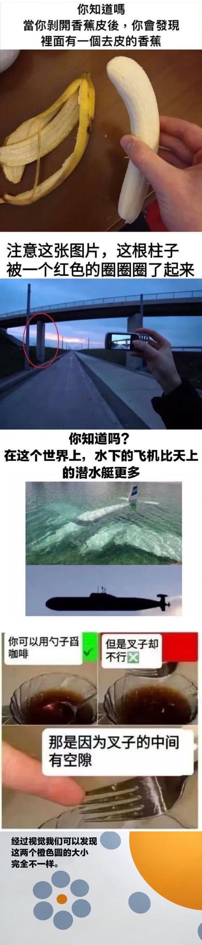 这是一组由五个独立趣味内容拼接而成的梗图合集，涵盖了废话文学、冷知识和视觉错觉类的搞笑内容：
1. 第一张以废话文学调侃香蕉：剥开香蕉皮里面是去皮的香蕉，用无意义的事实制造笑点；
2. 第二张是视觉错位梗，拍照角度让桥梁柱子看起来位于道路尽头，配文特意圈出柱子，放大这种错位的反差感；
3. 第三张是趣味冷知识：指出世界上水下的飞机（失事坠海的飞机）数量比天上的潜水艇多，配图为坠海的飞机和潜水艇；
4. 第四张用勺子和叉子舀咖啡的对比，直白解释叉子无法舀咖啡是因为中间有空隙，属于一本正经的废话科普；
5. 第五张是经典视觉错觉图，两个橙色圆实际大小一致，但周围的灰色圆会让人产生大小不同的视觉误判。
整体以看似严肃的语气呈现无意义事实或视觉错觉，营造出无厘头的搞笑效果。