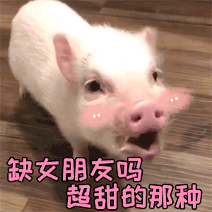 超甜小猪在线问：缺女朋友吗？